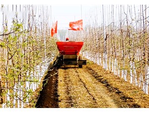 產(chǎn)品作業(yè)